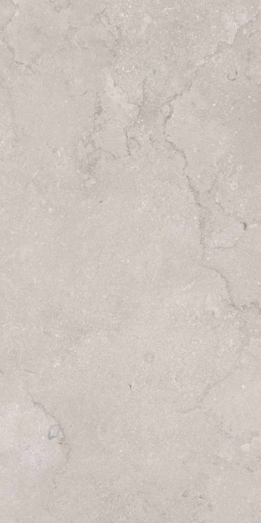 OL Port Land Stone Greige Matte 24 x 48